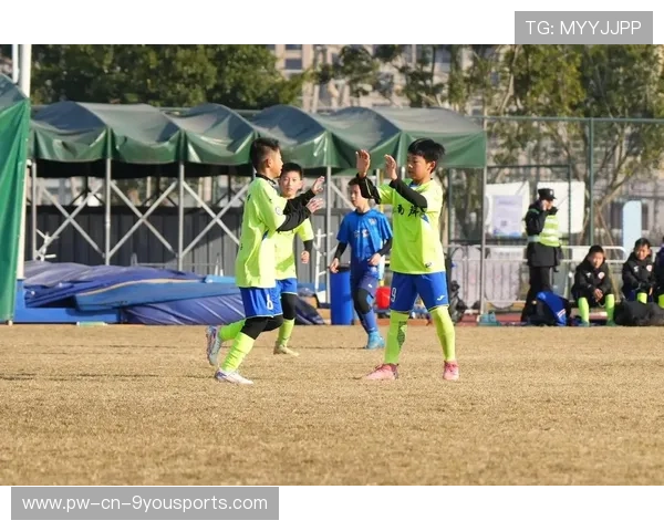 追逐梦想：新星用实力征服赛场！，追逐梦想 追逐厄运